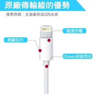 壹 原廠盒裝 Apple Iphone 6 i6 plus Type-C Lightning PD 1公尺 原廠傳輸線