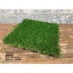 台灣現貨 人造草皮 高仿真 植栽牆 戶外佈置 庭院設計 排水草皮