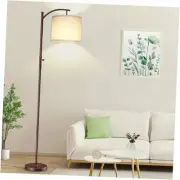 Dimmable Floor Lamp, Arc Floor Lamps for Living Room, Stepless Dimming Modern