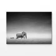 B&W Elephant & Zebra Walking Together Print 100% Australian Made 120x90cm (Stretched Canvas)