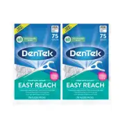 DenTek Easy Reach Floss Picks, Mouthwash Blast, 75 ct. (Pack of 2)