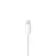 【原廠】Apple Lightning 8 pin雙耳線控原廠耳機-白