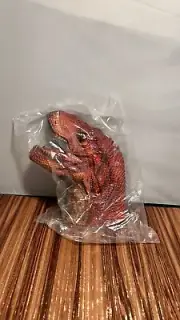 Interactive Hand Puppet Dinosaur Tyrannosaurus New Canna Education Toy New