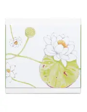 [HERMÈS] Un Jardin Sur Le Nil Perfumed Soap 100g