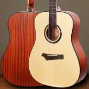 Gopherwood Guitars I100 Acoustic Guitar Dreadnought Beginners Safe Delivery
