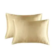 Satin Pillowcase Set of 2 Silk Pillow Cases for Hair and Skin Satin Pillow Covers 2 Pack with Envelope Closure (51*76cm champagne)