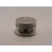 Austral Piston Set - PO1620 STD