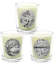 Qualitas Candles 3pc Candle Set - Amber, Amber Patchouli, & Amber Suede