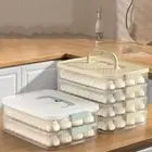 Large Capacity Frozen Dumpling Storage Box Plastic Dumpling Box Refrigerator