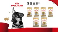 在飛比找Yahoo!奇摩拍賣優惠-ROYAL CANIN皇家 品種犬系列成犬 貴賓/瑪爾/臘腸