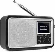 Audizio Parma Portable DAB+ Radio with Bluetooth, Rechargeable Battery, FM Tuner, Silver, Alarm Clock, Built-in Speaker, USB Charging, Compact Design for Home, Office, Travel - Premium Sound