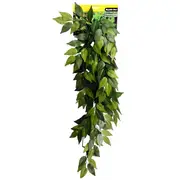 Reptile One Varigated Ivy Cascading Plant Green 72 cm (46770)