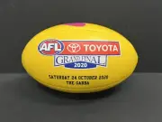 AFL SHERRIN REPLICA TOYOTA GRAND FINAL FOOTY FOOTBALL - Richmond Premiers Martin