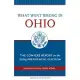 What Went Wrong In Ohio: The Conyers Report On The 2004 Presidential Election