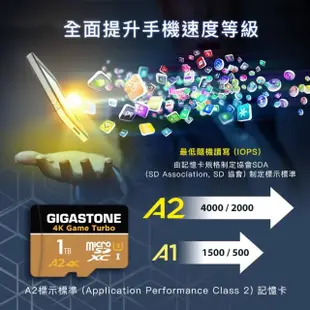 【GIGASTONE 立達】Game Turbo microSDXC U3 A2 4K 256GB資料救援記憶卡(支援DJI/GoPro/空拍機/運動攝影機)