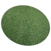 Manhole Cover Decorative Turf Grass Pad for Dogs Artificial Rug Fake Mats
