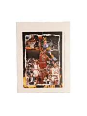 Michael Jordan Champion Basketball Sticker