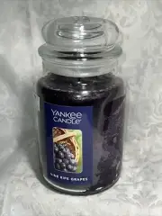 Retired RARE Yankee Candle VINE RIPE GRAPES 22 oz Jar NEW Old Stock FREE SHIP