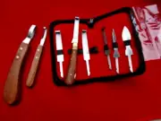 6 x Farrier Hoof knives Set Premium Quality Farrier Tools + 1 x Hoof knife = 8