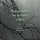 Nothing Matters But The Sound of Rain, Tyler, Cheever 9781514472118 New<-