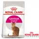 Royal Canin法國皇家 E35挑嘴絕佳口感配方成貓飼料 4kg
