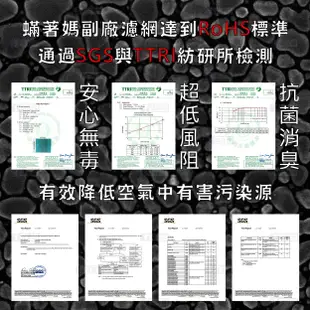 單入 升級顆粒碳 蟎著媽 副廠濾網 適3M 空氣清淨機 E99-BL E99 WT168 KSSVJE-168 寶寶機