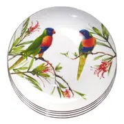 Rainbow Lorikeet Dinner Plates 27cm Set of 4 Fine Bone China