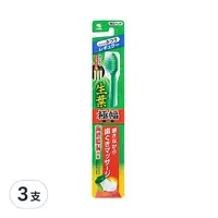 在飛比找Coupang 酷澎優惠-小林製藥 生葉 寬頭普通毛 齒槽膿漏潔淨牙刷