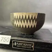 Limited Glaze Ceramic Plant Pot Caudex Agave Pachypodium Succulent Handmade Japa