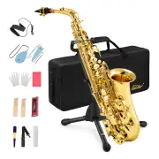 Eastar AS-Ⅱ Student Gold Lacquer E Flat Alto Saxophone Full Kit