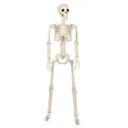 Poseable Full Body Skeleton Halloween Garden Decoration Haunted House Props