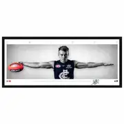 PATRICK CRIPPS CARLTON BLUES SIGNED WINGS 92x40CM FRAMED PRINT WALSH BROWNLOW MEMORABILIA