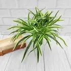 Realistic Artificial Chlorophytum Plants Fake Plant Party Wedding Decor