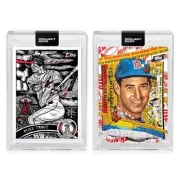 Topps PROJECT 2020 2 Card Bundle #121 Mike Trout & #122 Ted Williams RC