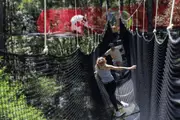 Tree Ropes Course - Wyong Creek