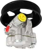 Power Steering Pump with Pulley for Nissan Pathfinder Armada Titan INFINITI QX56 (for: Nissan)