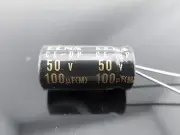 2pcs Elna Capacitors RBD 100uf 50V Audio Series Bi Polar Capacitors