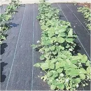 Plant Protect Mat Cloth, for Greenhouse Gardening Landscaping Plastic MulchPlants Care Cover (Size : Width 0.6m)