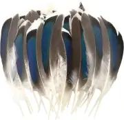 250 Pieces Duck Feathers for Craft Wedding Home Party Halloween Costumes Decorat