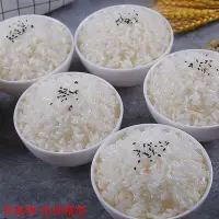 在飛比找Yahoo!奇摩拍賣優惠-仿真食物 仿真物 仿真菜 拍攝道具 仿真模型米飯仿真模型假米