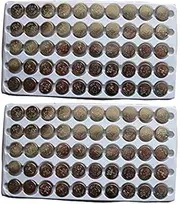 New 100PCS AG10 LR1130 389 LR54 Button Cell Batteries Tray