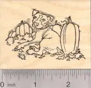 Pitbull Dog in Pumpkin Patch, Halloween or Thanksgiving Rubber Stamp J18920 WM