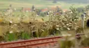 HO Scale Scenery - 1260 - Late Summer Undergrowth - Kit