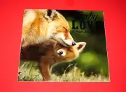BABY LOVE FOX LION KOALA BEAR PENGUIN MONKEY 2022 16 MONTH WALL CALENDAR 12x11