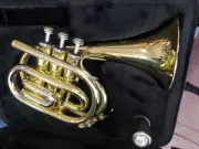 Dizzy Bent Jazz Pocket trumpet w/ Heavy D2H MP Berkeley Wind