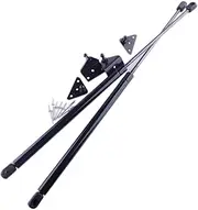 jfqm 1 Set Car Hood Damper Gas Strut Lifter Fit for Toyota Tacoma Pickup Truck 2022 2021 2020 2019 2018 2017 2016