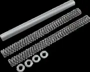 Race Tech Fork Spring 0.42 kg/mm Pair for Honda XR400R 96-04