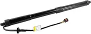 Left Rear Hatch Tailgate Power Lift System Lifts Support Shock Struts For Kia Sedona 2015 2016 2017 2018 2019 2020 2021, 81770-A9100 81780A9100