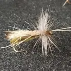 ELK HAIR CADDIS SLICK WATER SIZE # 16 CUSTOM TIED DRY FLY OLIVE