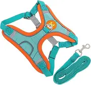 Alasum 1 Set Outdoor Dog Harness and Leash Kit for Dogs Wear Resistant Comfortable and Breathable Pet Harness with Long Leash for Training and Walking Present for Owners